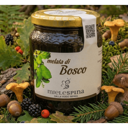 Melata di Bosco - mielespina.it - Capriglia Irpina - Miele artigianale Irpino