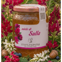 miele di sulla- mielespina.it - Capriglia Irpina - Miele artigianale Irpino