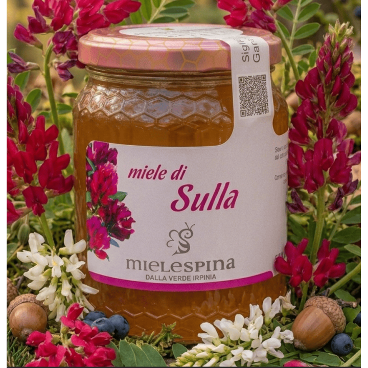 miele di sulla- mielespina.it - Capriglia Irpina - Miele artigianale Irpino