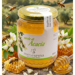 miele acacia - mielespina.it - Capriglia Irpina - Miele artigianale Irpino