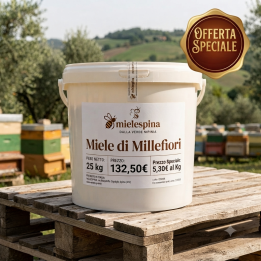 Fusto di Miele Millefiori da 25 Kg - Miele artigianale irpino