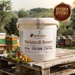 Melata di Bosco da 25 Kg - Miele artigianale irpino - 100% italiano